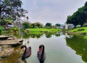 Video: Lebih Ramah Lingkungan, TMII Kembali Dibuka