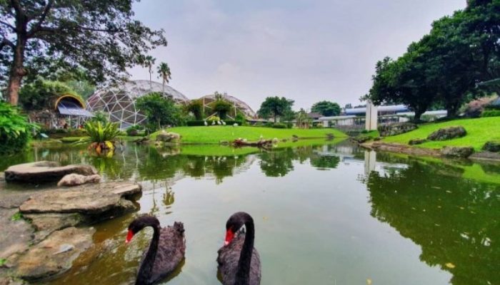 Video: Lebih Ramah Lingkungan, TMII Kembali Dibuka