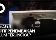 Spekulasi Kematian Kasus Bripda IDF hingga Pakar Ungkap Ada Kode Tirai Biru, Apa Itu