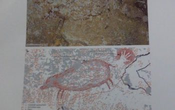 Jejak Arkeologi dan Sejarah Purbakala: Dari Lukisan Gua Maros hingga Fosil Manusia 1,8 Juta Tahun di Brebes